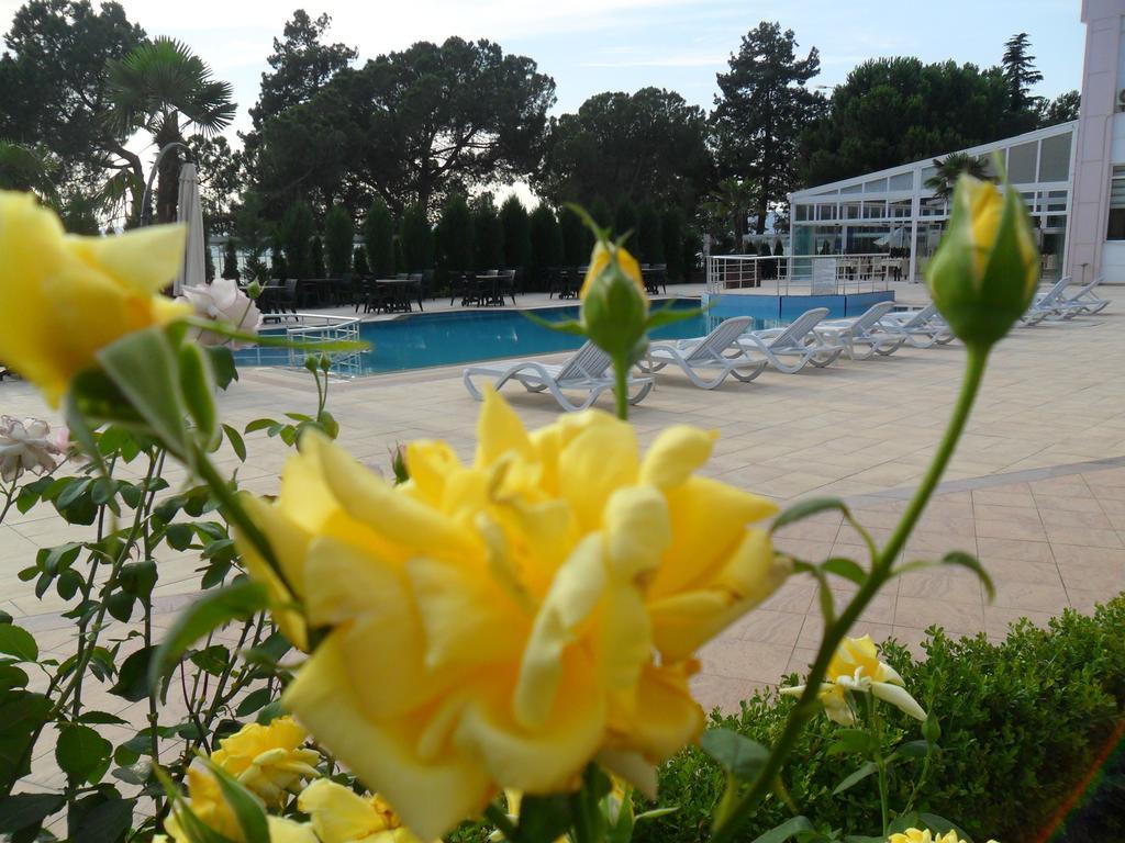 Grand Nicea Hotel İznik 客房 照片